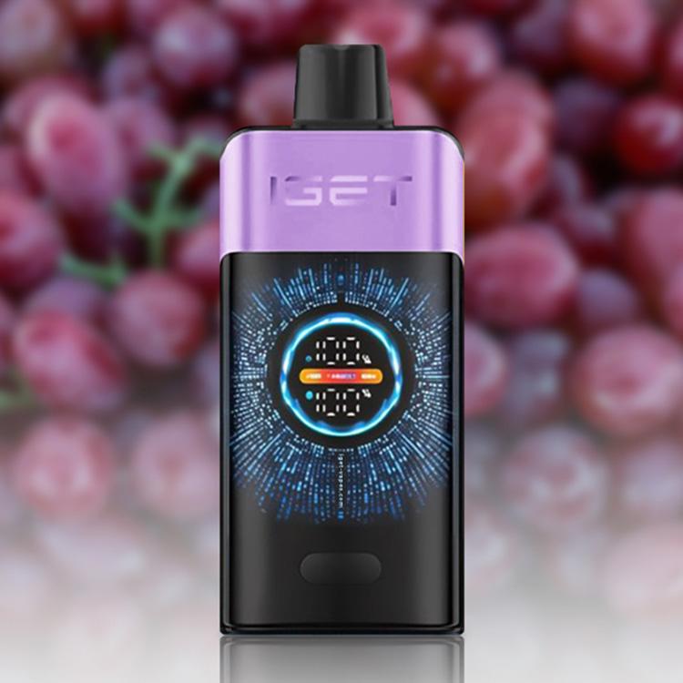 IGET One 12000 Puffs E-Cigarette, Grape Ice