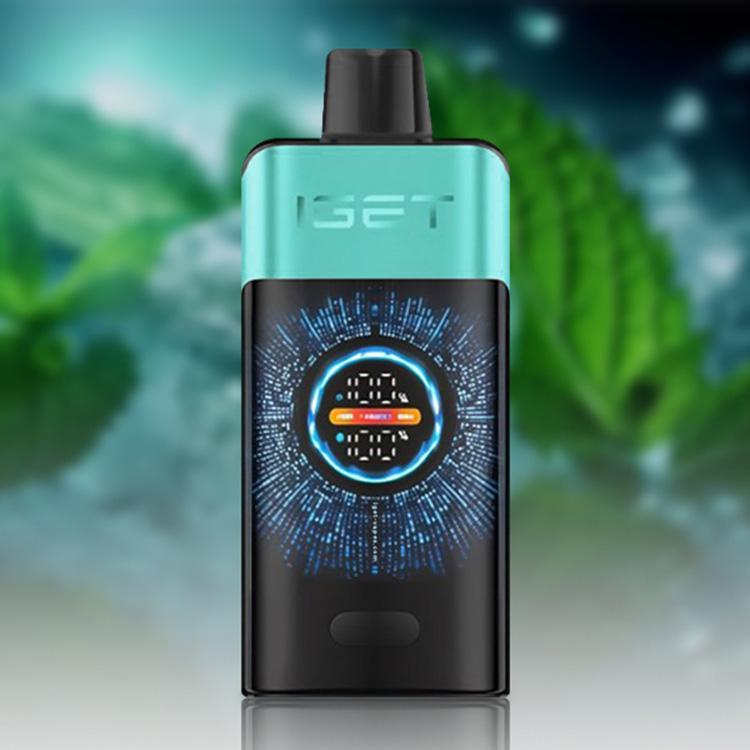 IGET One 12000 Puffs E-Cigarette, Mountain Spring Mint Ice