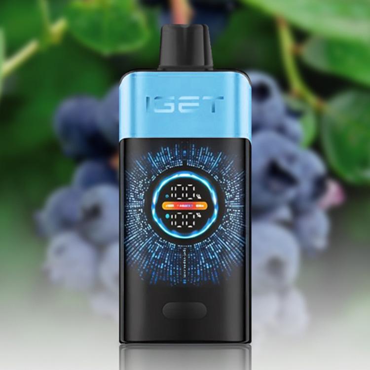 IGET One 12000 Puffs E-Cigarette, Blueberry Ice