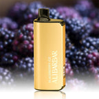 ALIBARBAR INGOT 9000 Puffs E-Cigarette, Blackberry Ice