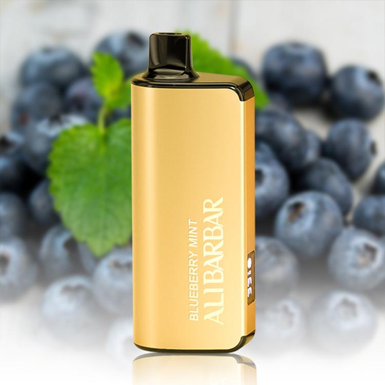 ALIBARBAR INGOT 9000 Puffs E-Cigarette, Blueberry Mint